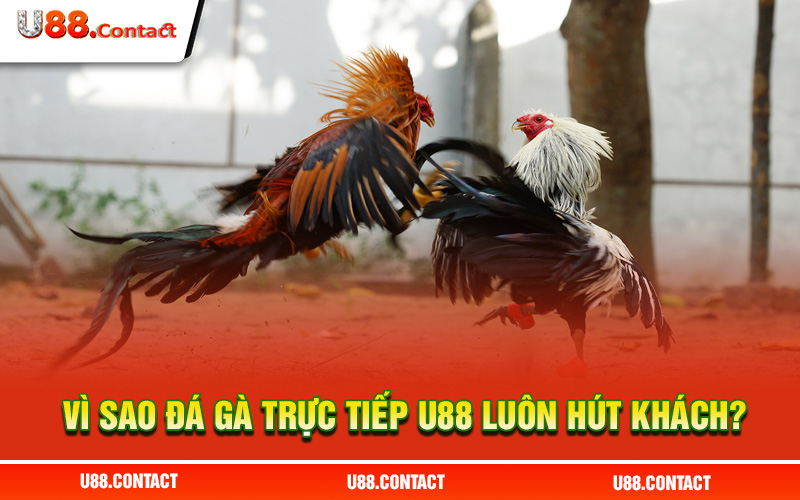 Cam kết cung cấp mức trả thưởng cao nhất hiện nay
